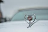 Cadillac Eldorado - Cadillac Eldorado Gebrauchtwagen