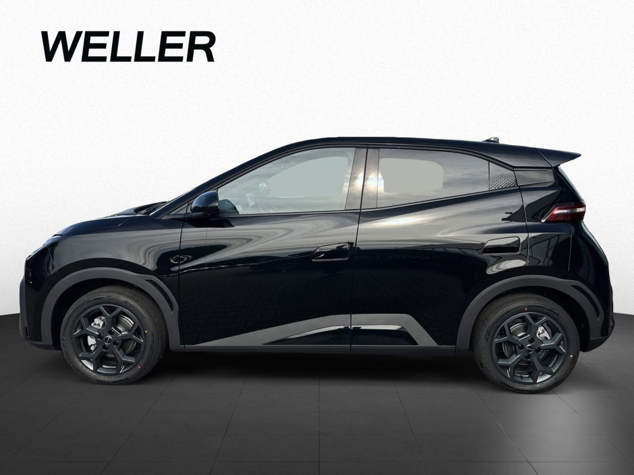 BYD DOLPHIN SURF