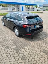 Skoda Octavia2.0TDI 150PS TÜV NEU Headup SHZ vorn u. h - Skoda Octavia: 1u2