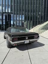 Ford Mustang V8 5.0 302cui Autom., H-Kenz - Ford: 302