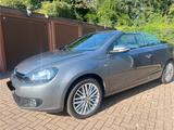 Volkswagen Golf 1.4 TSI 90 kW DSG CUP Cabriolet CUP - Volkswagen Golf: 9