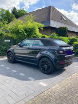 Land Rover Range Rover Evoque Cabriolet 2.0 TÜV bin 01/27 - Land Rover Range Rover Evoque: Cabrio