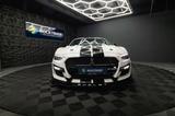 Ford Mustang Shelby 500 GT Cabrio Performance PREMIUM - Ford: Shelby
