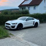 Ford V8 Ford Mustang Widebody | Sportabgasanlage  - Ford Mustang: For