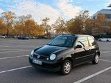 Volkswagen Lupo 1.0 MPI mit Faltdach  gep... - : Kleinwagen, Faltdach mit