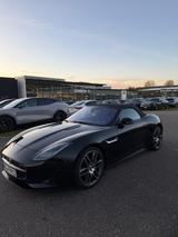 Jaguar F-Type P300 Cabrio R-Dynamic - Jaguar F-Type Gebrauchtwagen