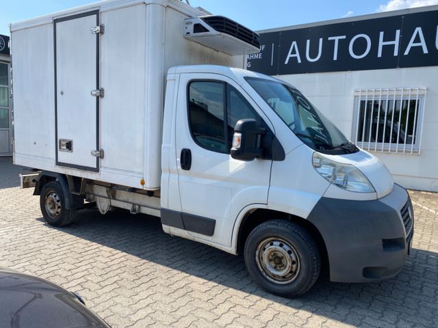 Fiat Ducato|Kühlkoffer|3-Sitzer|Carrier Xarios 350