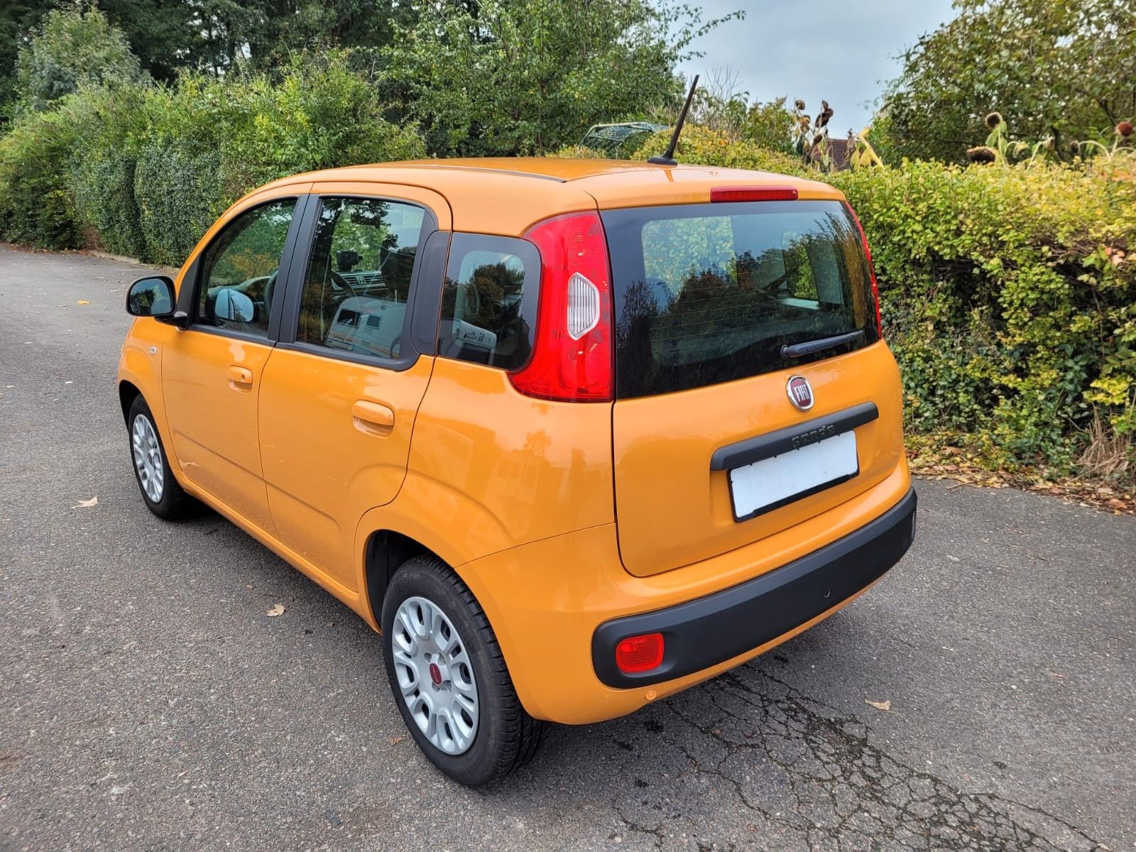 Fiat Panda (12/2020, Benzin)