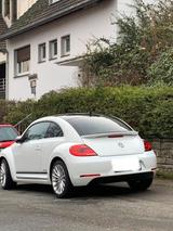 Volkswagen VW New Beetle CUP Limited Edition - VW New Beetle von privat