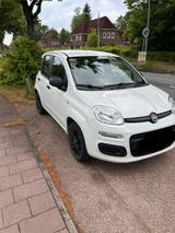 Fiat Panda  8 Fach bereift aus 1 Hand ! - Fiat Panda in Hamburg