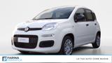 Fiat FIAT Panda 1.0 70cv Hybrid Panda - Fiat Panda Jahreswagen