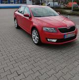 Skoda Octavia 2.0 TDI Green tec DSG Elegance Elegance - Skoda Octavia: TDI Elegance