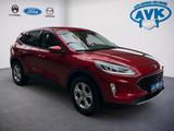 Ford Kuga PHEV Cool & Connect AHK, Winter-Paket - rote Ford Kuga