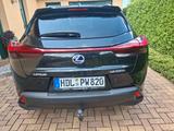 Lexus UX 250h Style Edition Style Edition - Lexus UX Gebrauchtwagen