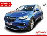 Opel Grandland 1.2 Turbo Innovation LED Navi Kamera - Opel Grandland (X) Gebrauchtwagen