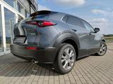 Mazda CX-30 Exclusive BOSE Matrix 360° Klimaaut Tempom - mit Benzin-Antrieb: Pickup