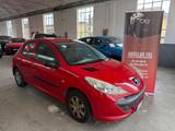 Peugeot 206 Plus 1.1 60CV 5p. Trendy - Peugeot 206: Rot