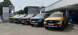 Ford Ranger Wildtrak V6 3.0 el.Rollo+360'-Kamera+Totw - Ford Ranger in Hamm