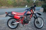 Honda XL 600 R PD03 - HONDA 1986