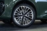 Audi SQ5 3.0 TFSI quattro S-line AHK B&O MASSAGE STHZ - Audi SQ5 Tageszulassungen