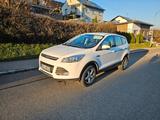 Ford Kuga 1,5 EcoBoost 2x4 88kW Business Edition ... - Ford Kuga: Business Edition