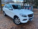Mercedes-Benz ML 350 BlueTEC 4MATIC - - Mercedes-Benz ML 350 Gebrauchtwagen in Stuttgart