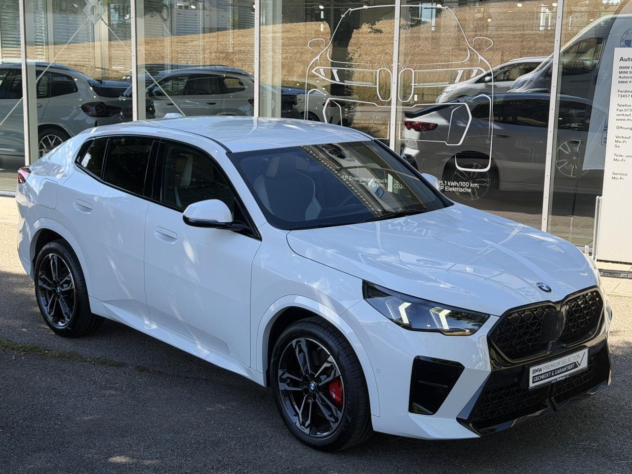 BMW X2 s20d M Sport Pro ACC Lenkradh.Ad-Fahrwerk 19 foto 3