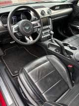 Ford Mustang 5.0 GT V8 50 Years - Ford Mustang Gebrauchtwagen in Dortmund