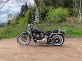 Harley-Davidson FXST Springer Softail - Offers