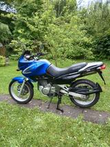 Suzuki XF 650  - SUZUKI XF 650