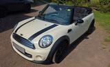 MINI Cooper Cabrio  Go-Kart Feeling mit Sommer Vibes - : Kart