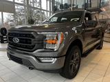Ford F 150 XLT SuperCrew+ACC+PDC+KeyFree+NAV+LED+AHK+ - gebrauchte Ford F 150 aus dem Jahr 2024