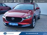 Mazda CX-30 2.5L 140PS Exclusive-line, MATRIX-LED, 360 - Mazda Jahreswagen