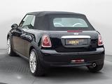 MINI Cooper Cabrio 1.6 Chili Leder Xenon Sitzh. Alu. - MINI mit Benzin-Antrieb