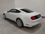 Ford Mustang GT Fastback - Ford Mustang: Fastback