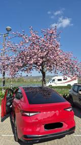 Skoda Enyaq Coupé 60 - - Skoda Enyaq von privat