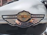 Harley-Davidson FLSTFI Fat Boy - Angebote entsprechen Deinen Suchkriterien
