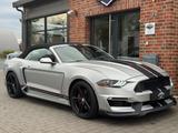 Ford Mustang 5.0 V8 Cabrio Shelby GT350-Paket/LED - Ford Mustang: Gt350