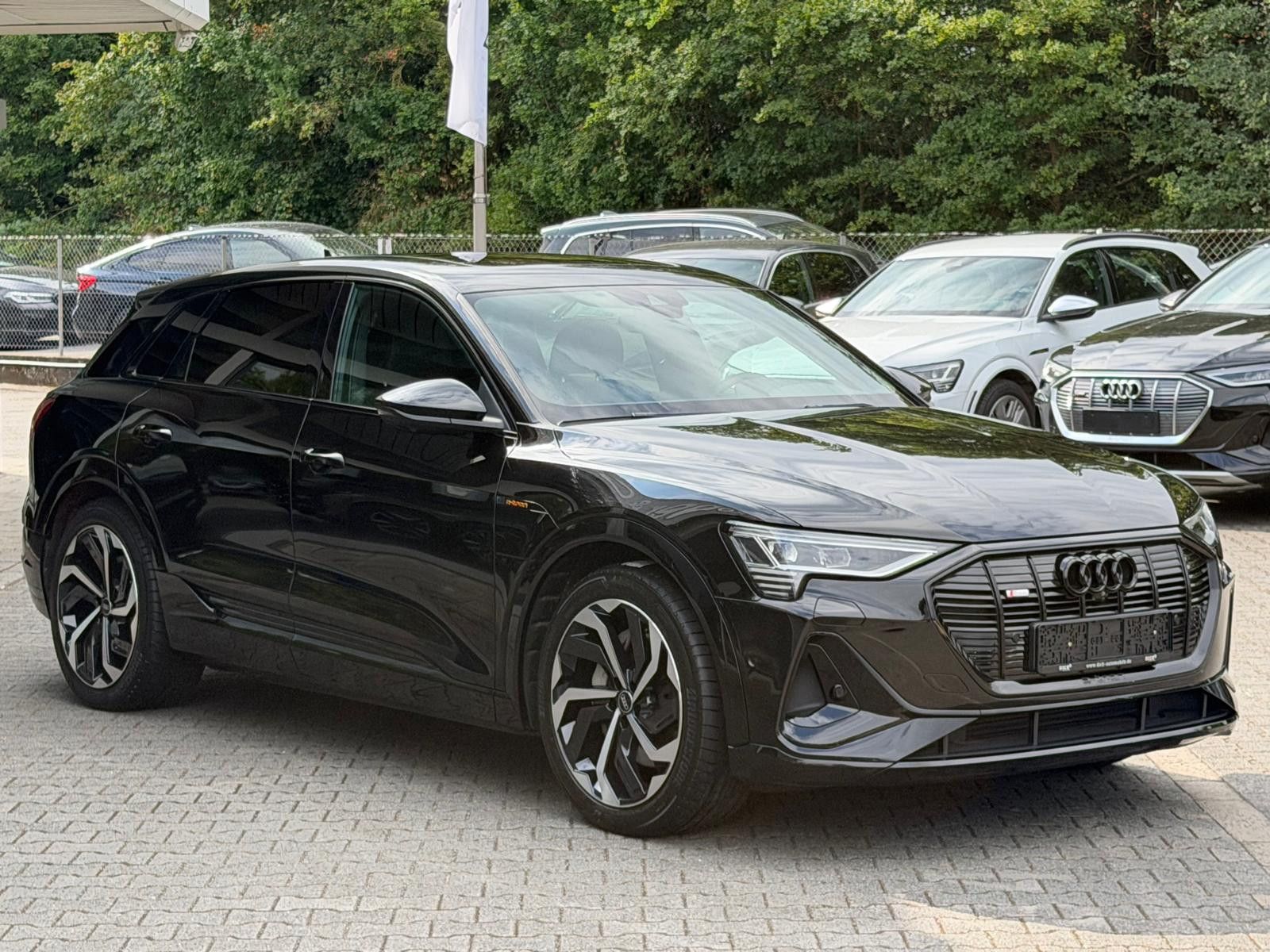 Fahrzeugabbildung Audi e-tron 55 QUAT 2X S LINE BLACK EDIT LUFT+360+AHK
