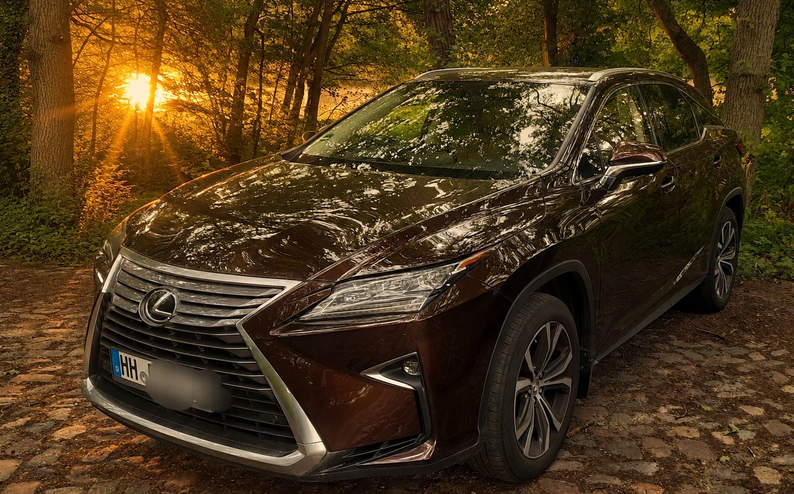 Lexus RX 200 200t Executive Line Executive Line