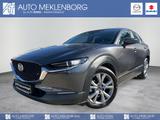 Mazda CX-30 2.0l "SELECTION" M Hybrid - Mazda CX-30 Gebrauchtwagen in Berlin