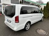 Mercedes-Benz V 250 d Aut. AVANTG. ED. lang 140 + 10kW AVA... - Mercedes-Benz V 250 in Frankfurt (Main)