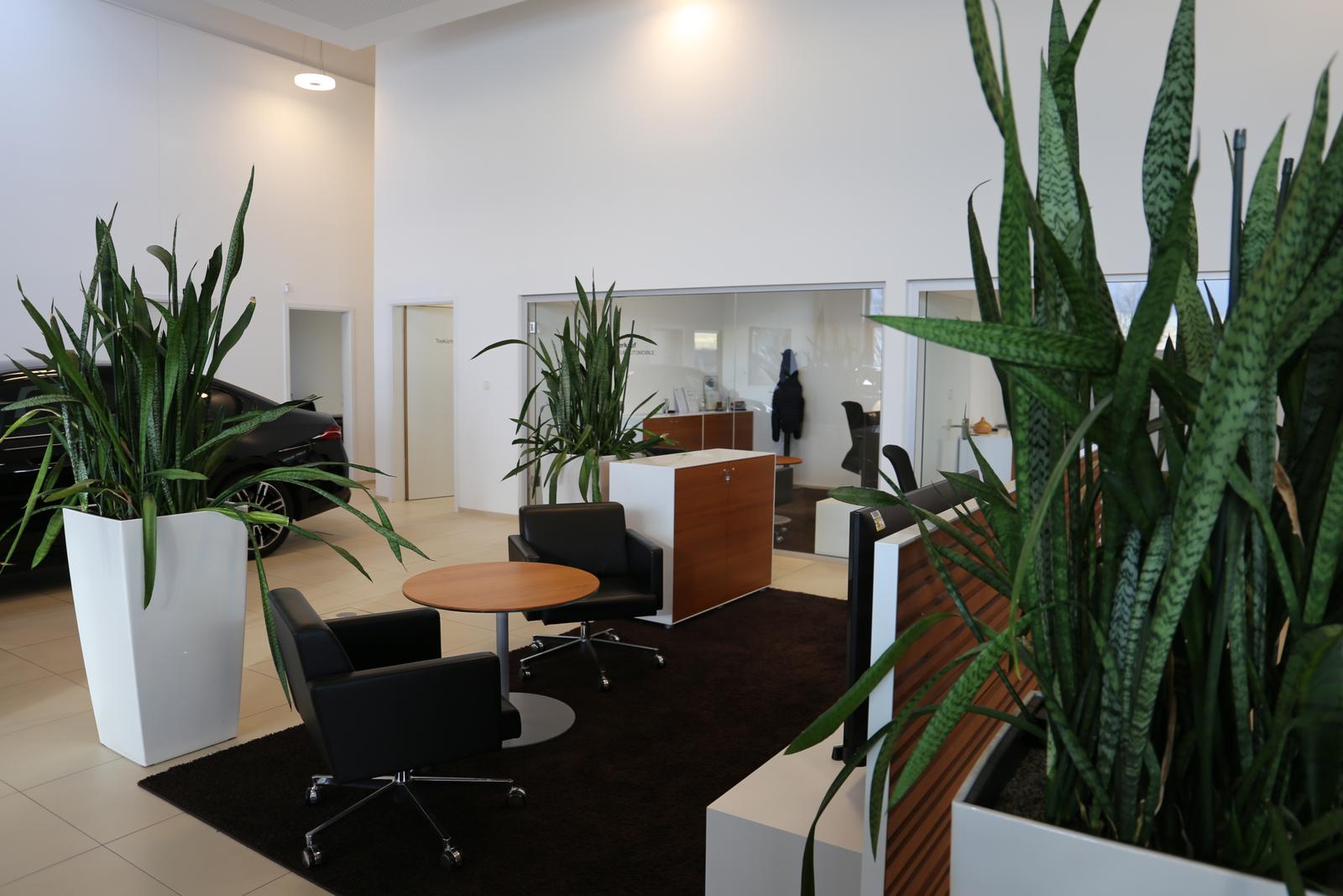 showroom-image-bottom