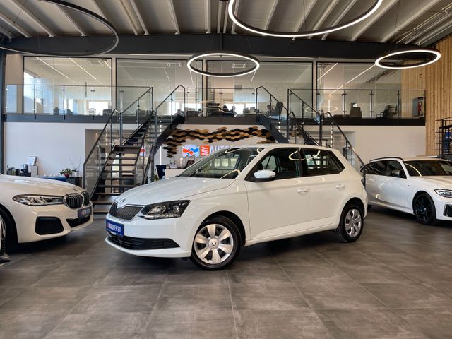 Skoda Fabia Ambition *TEMPOMAT*KLIMA*SZHZ*