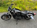 Harley-Davidson XL2 / 883 R - Offers matching your search criteria