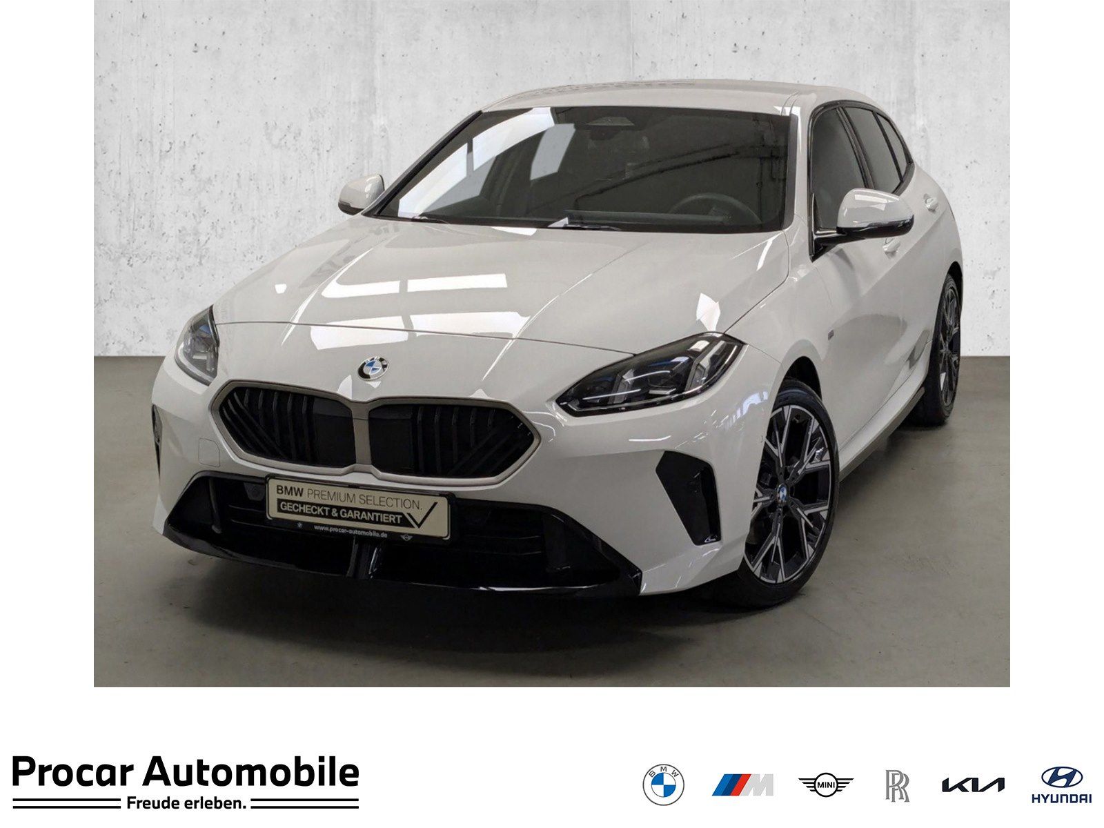 BMW 120 M Sport DA RFK PDC 18'' Komfortzugang