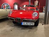 Alfa Romeo Spider Duetto Rundheck 1600 ungeschweißter Traum - Alfa Romeo aus 1966