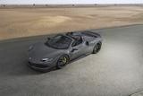 Ferrari 296 GTS NOVITEC,FULL CARBON ,RACE SEATS,JBL,FULL - graue Ferrari 296 GTS