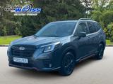 Subaru Forester Edt.Excl.Cross+Service 4Jahr inkl.+AHK - gebrauchte Subaru Forester aus dem Jahr 2024