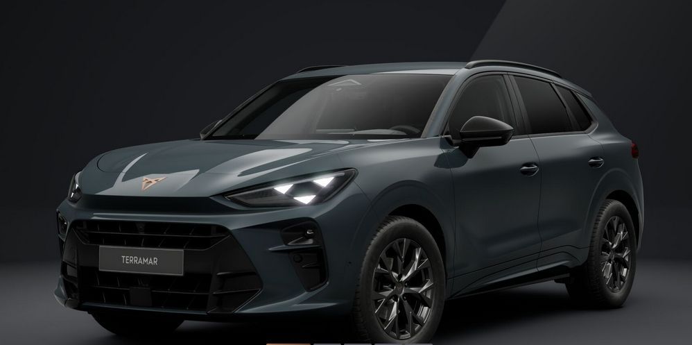 Cupra Terramar - Bild 2